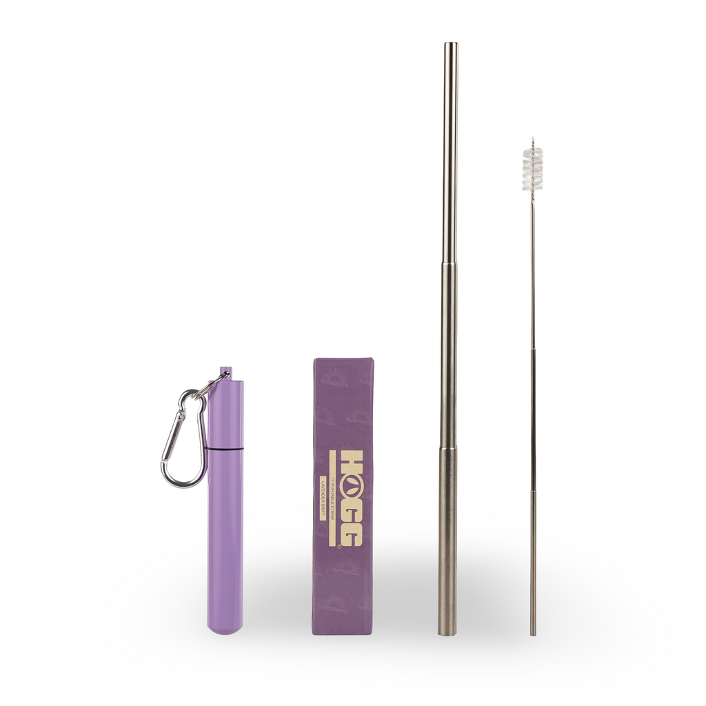 Daydream Club – 11" Portable Straw
