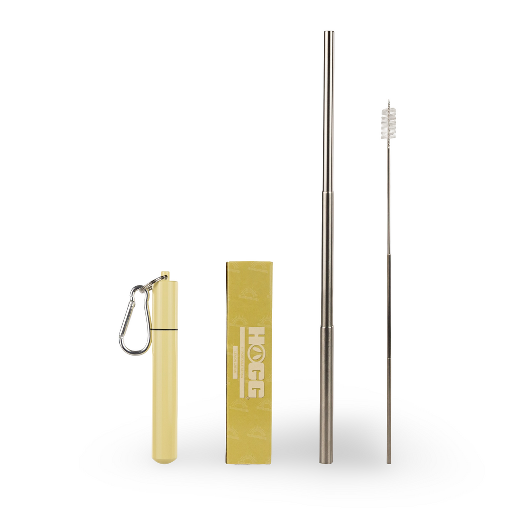 Daydream Club – 11" Portable Straw