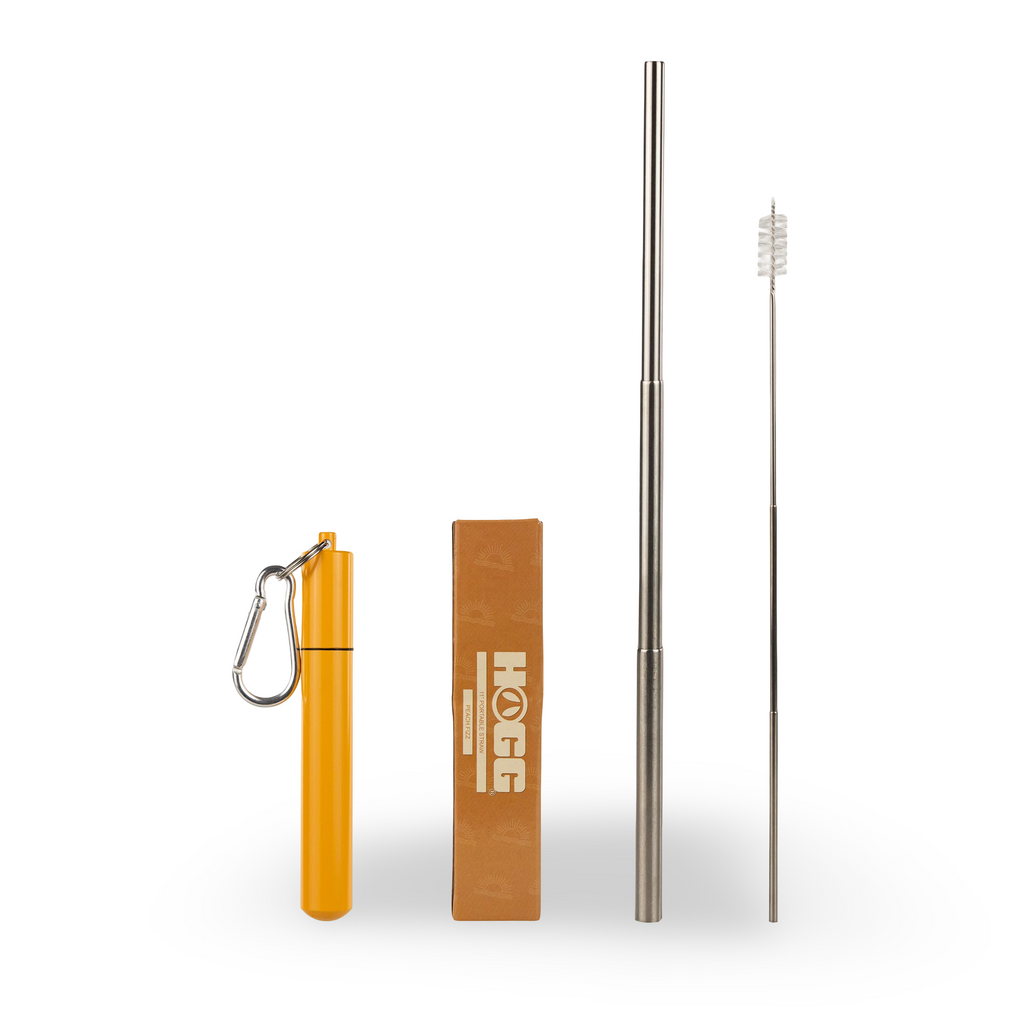 Daydream Club – 11" Portable Straw
