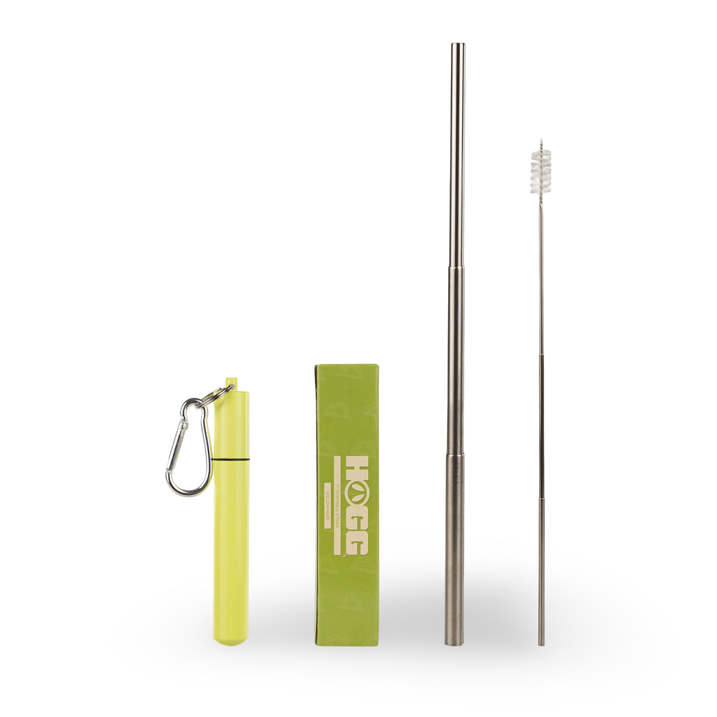 Daydream Club – 11" Portable Straw