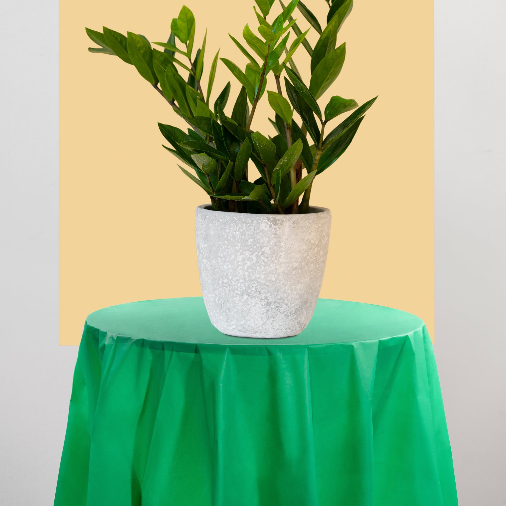 Hunter Green Round Disposable Plastic Tablecloths (84")