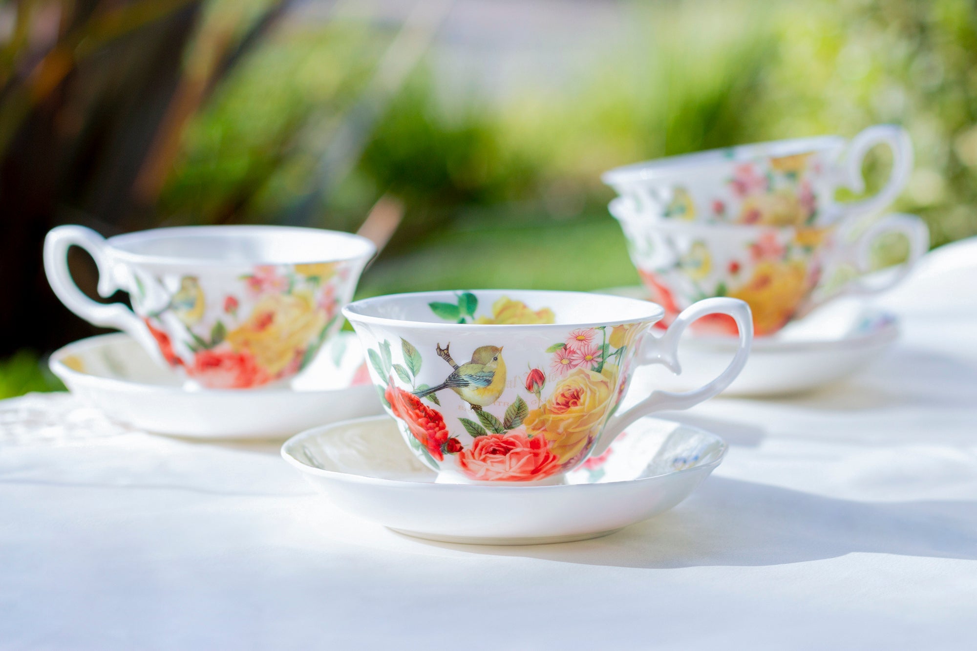 Yellow Rose Garden Bone China Tea Cup and Saucer