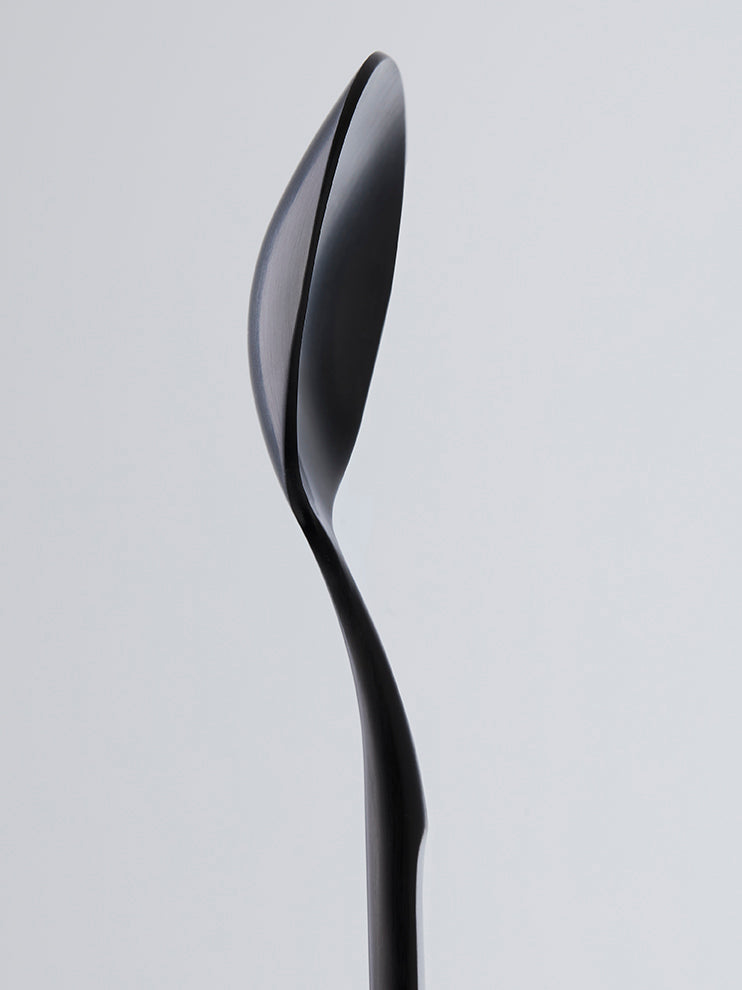Matte Black Spoon - 12pc