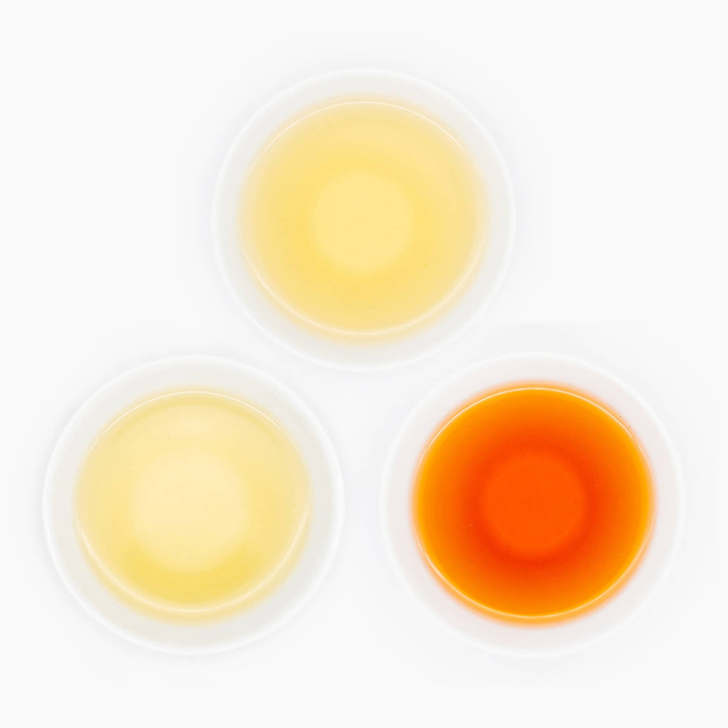 Koushun Cultivar Tea Flight