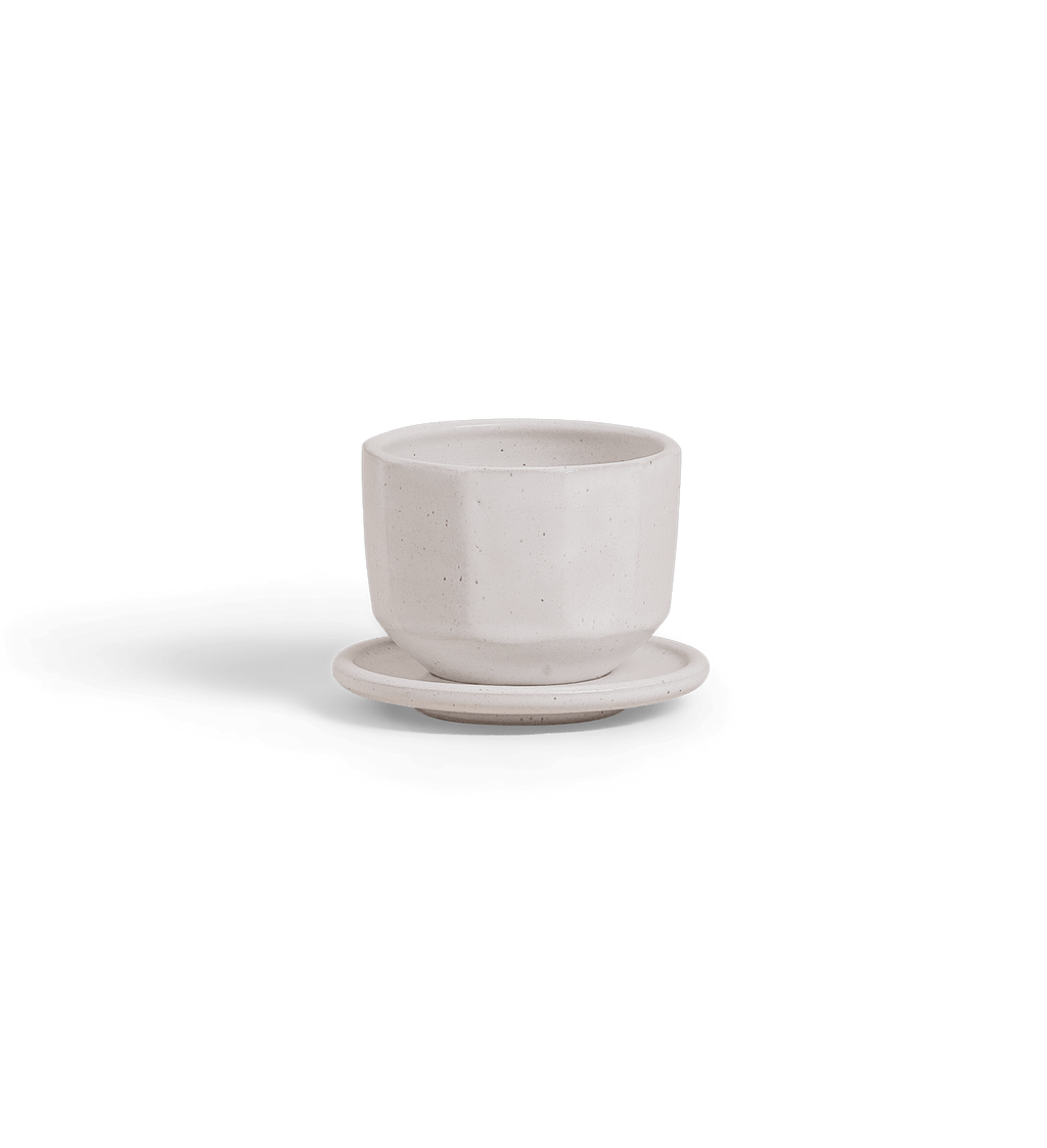 Latte Cup & Saucer