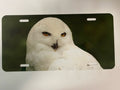 Print on Demand License Plate (6x12)