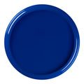 Solid Blue Flat Round Disposable Plastic Dinner Plates (10")