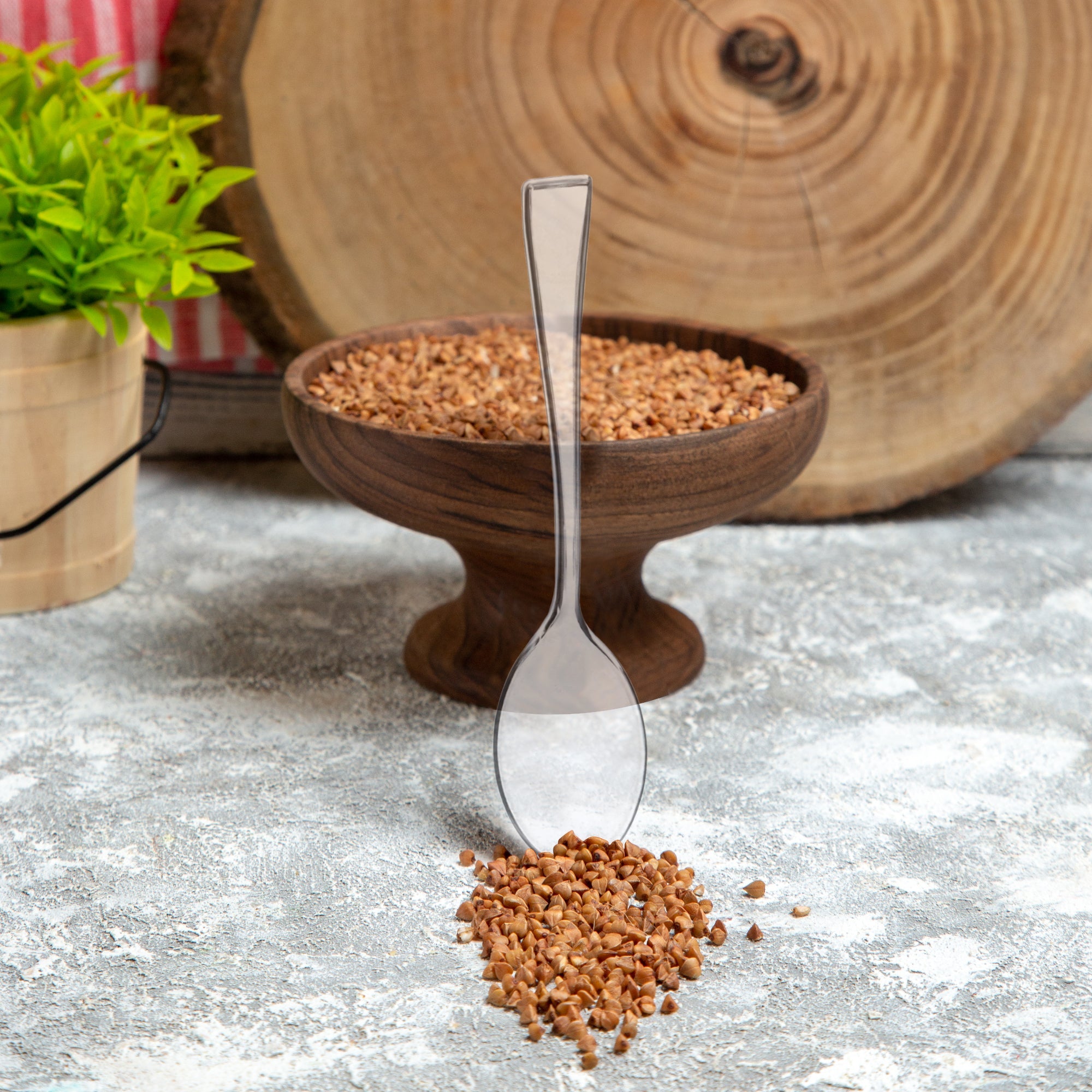 Clear Mini Plastic Disposable Tasting Spoons