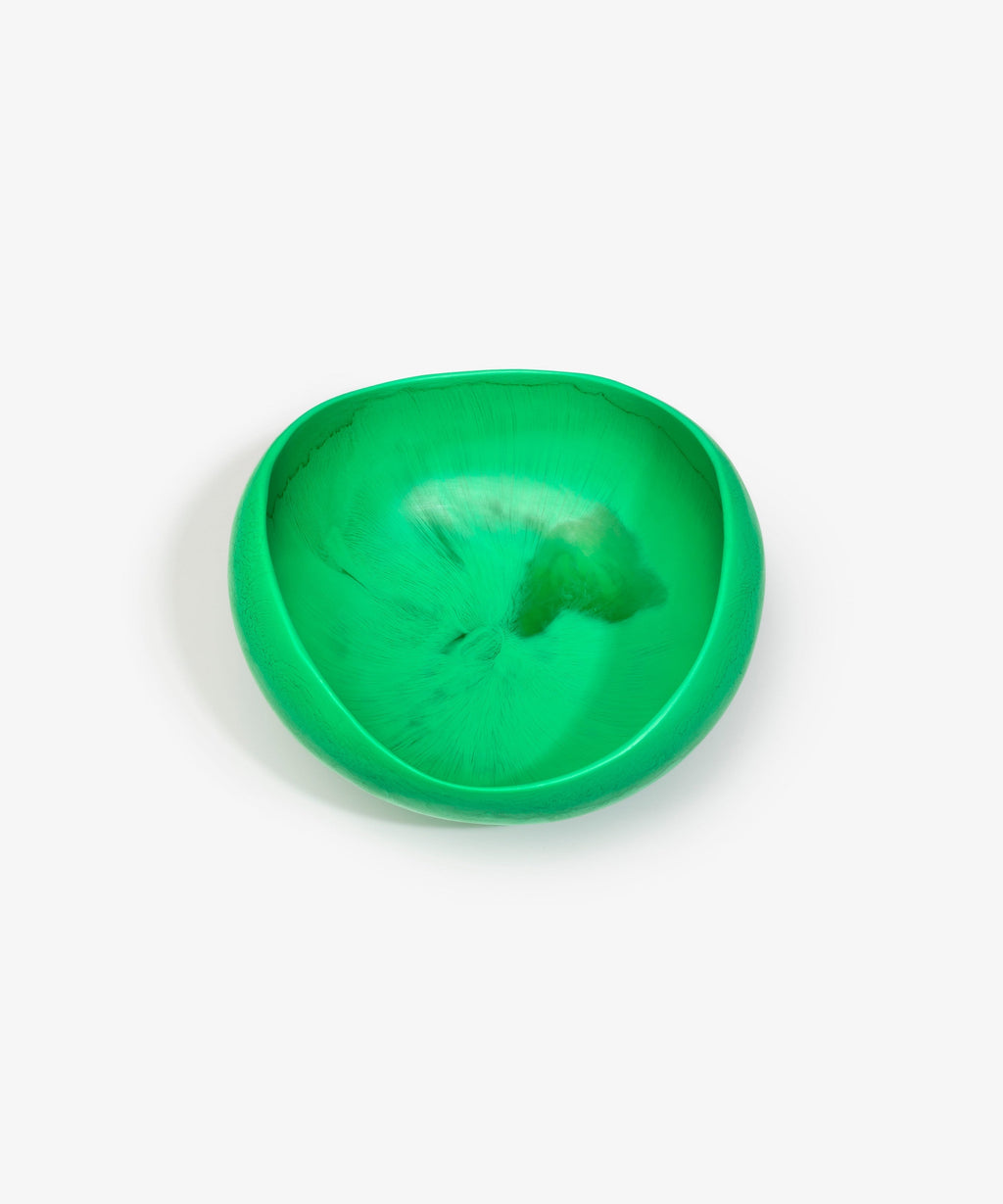 Large Beetle Bowl