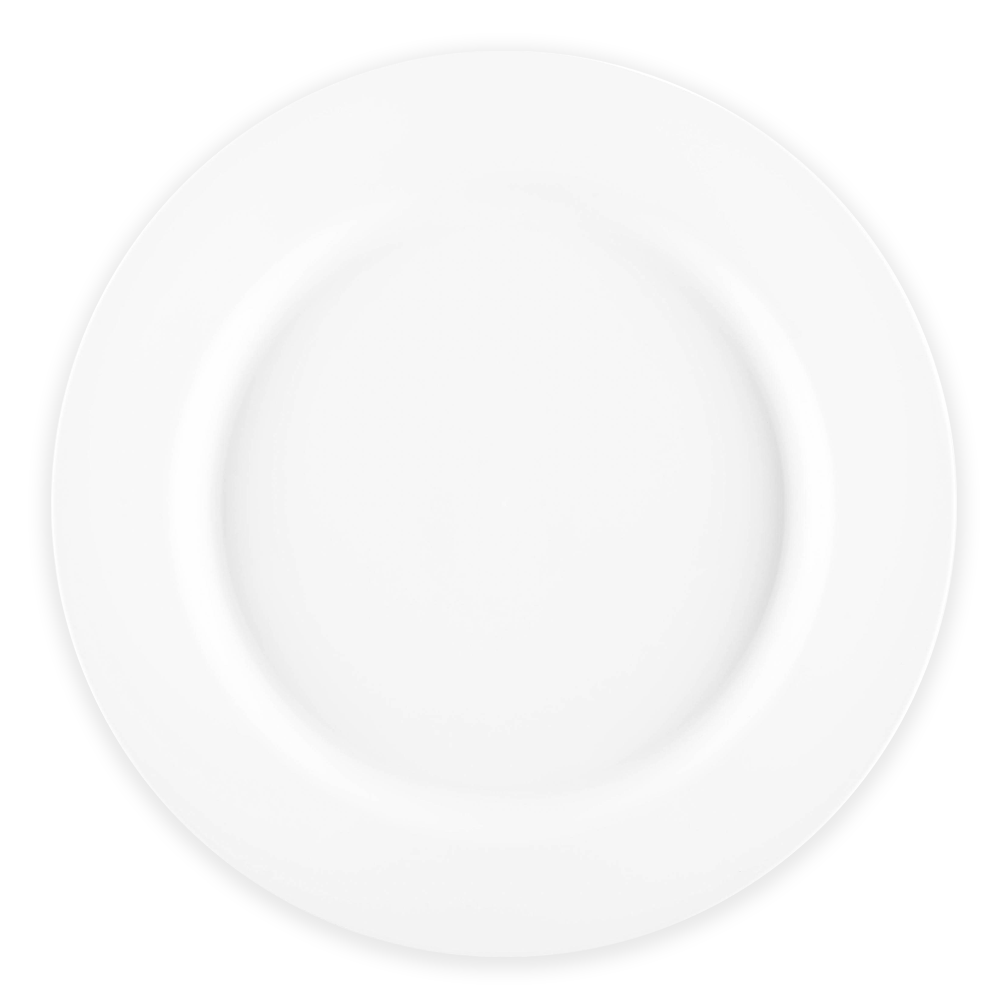 Matte Milk White Round Disposable Plastic Dinner Plates (10")