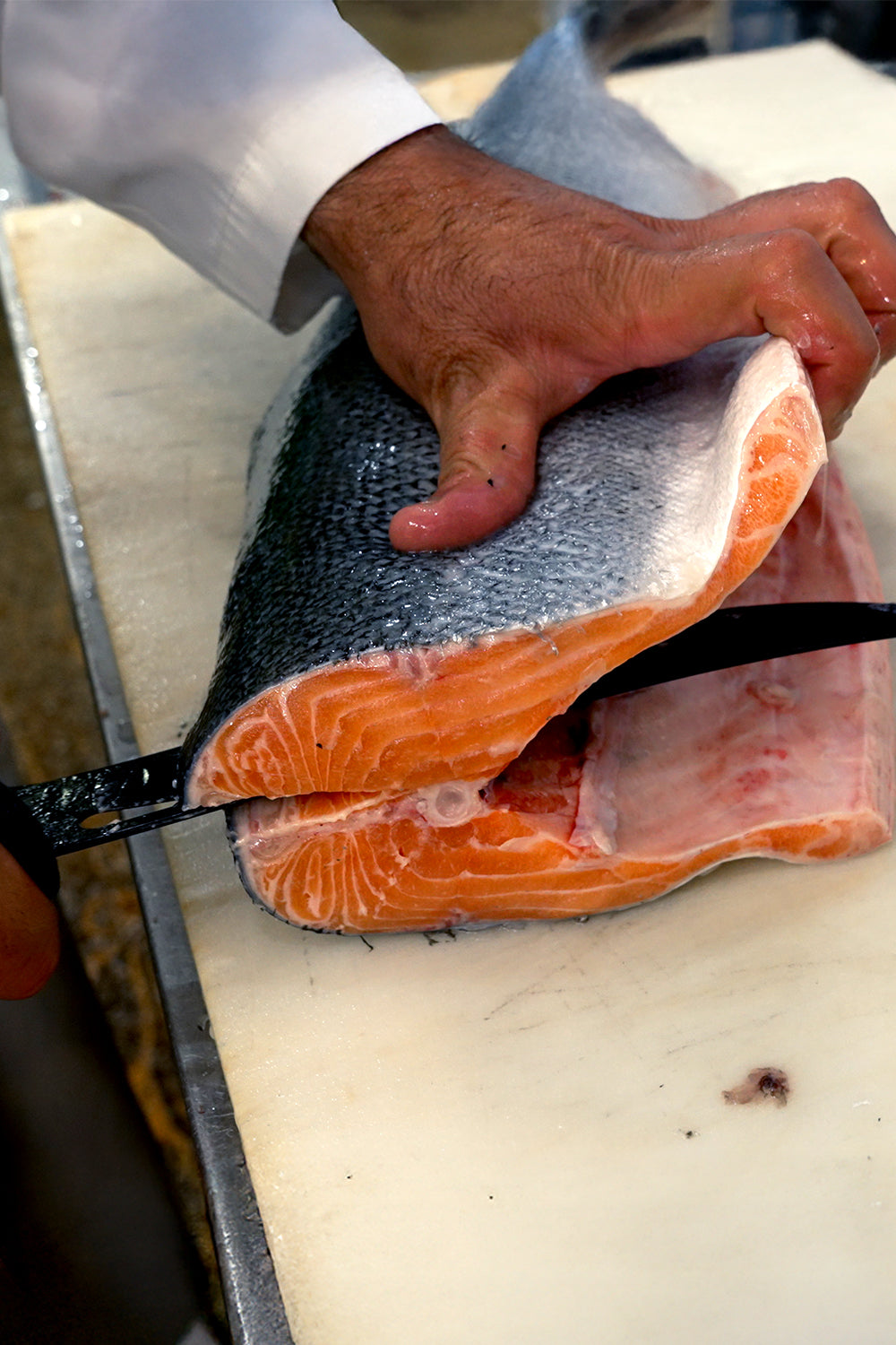 Butcher Knife 10" | Night Shark Series | NSF Certified | Dalstrong ©