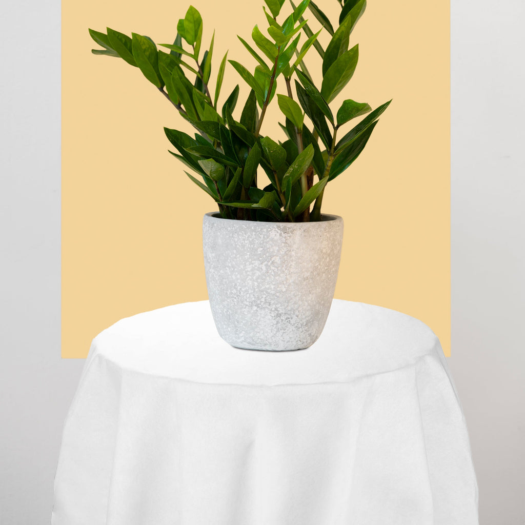 White Octy Round Linen-Like Tablecloths (82")