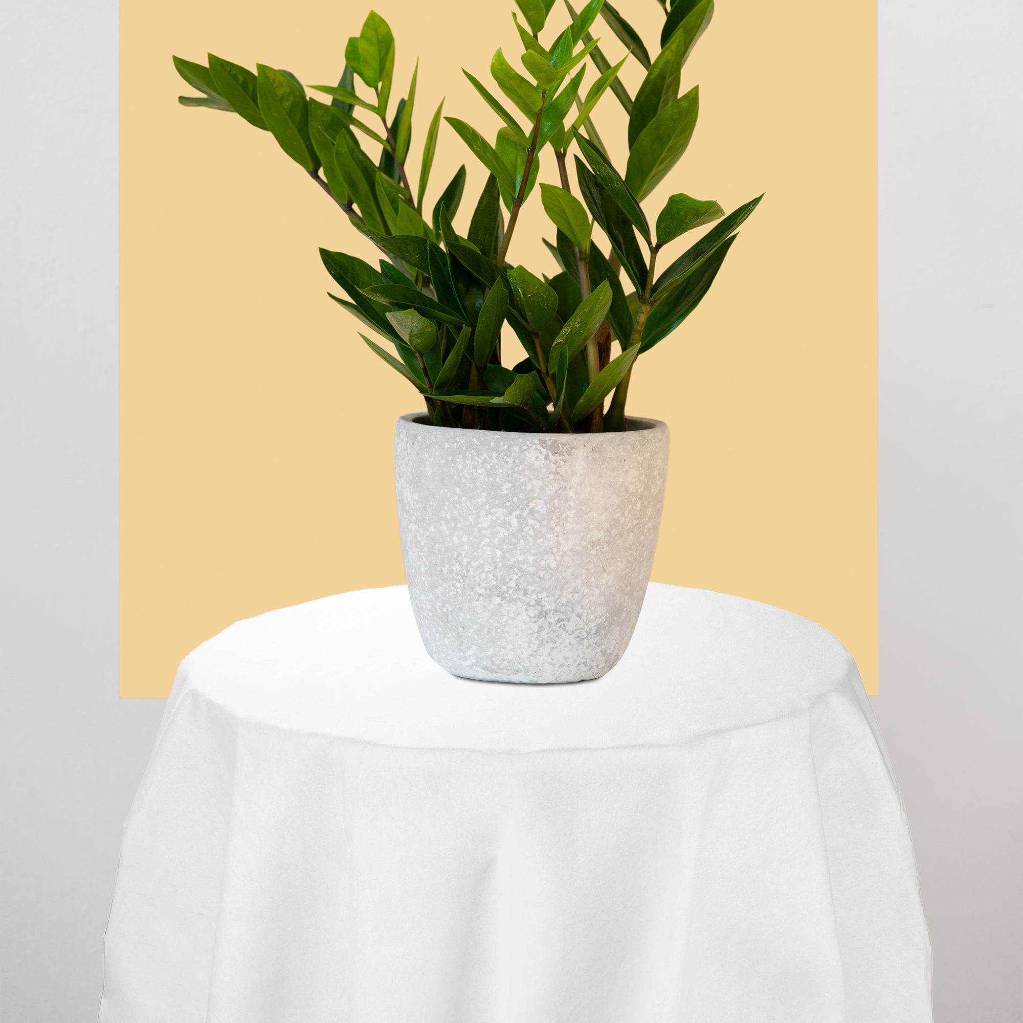 White Octy Round Linen-Like Tablecloths (82")