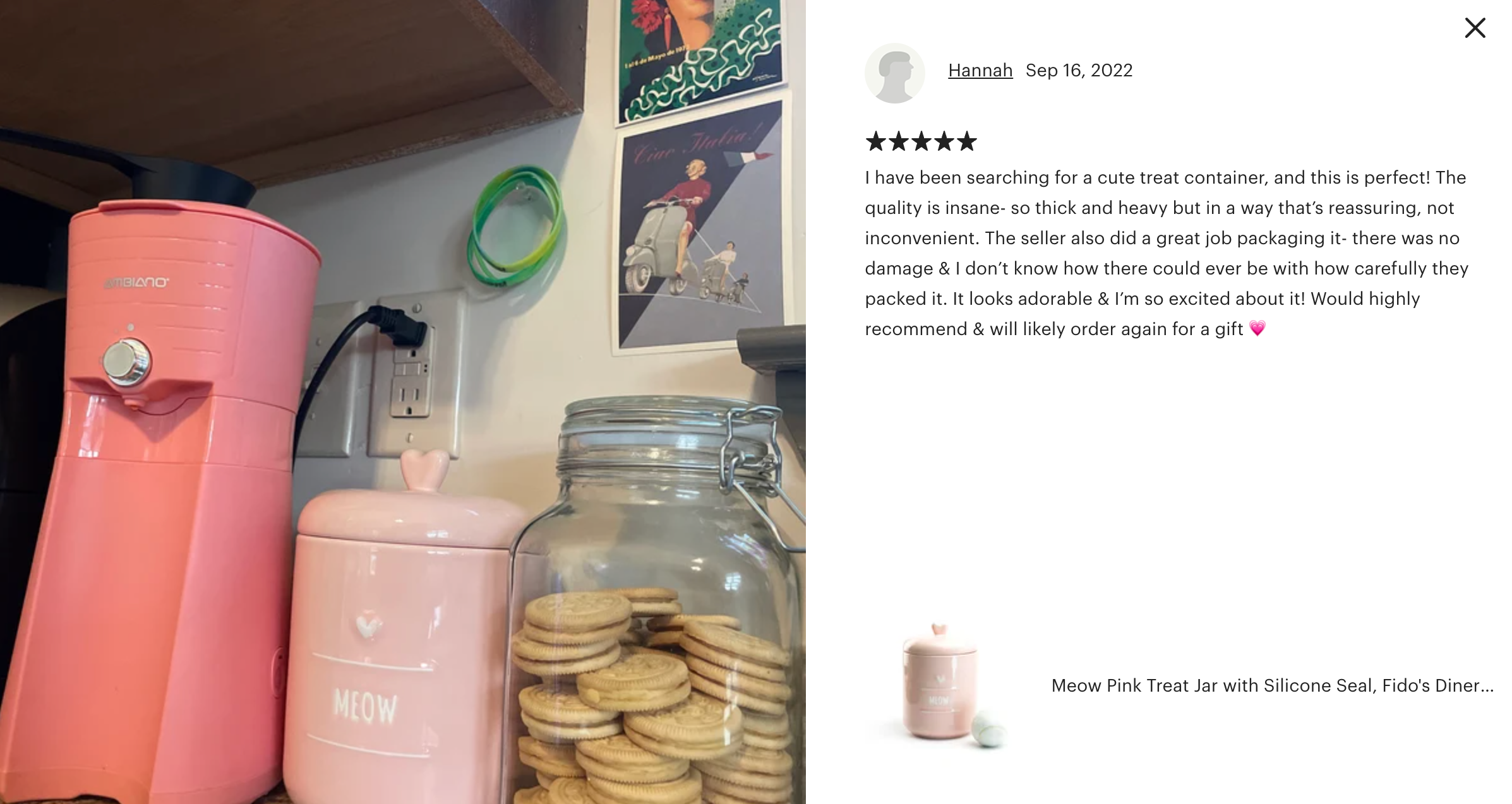 Meow Pink Treat Jar