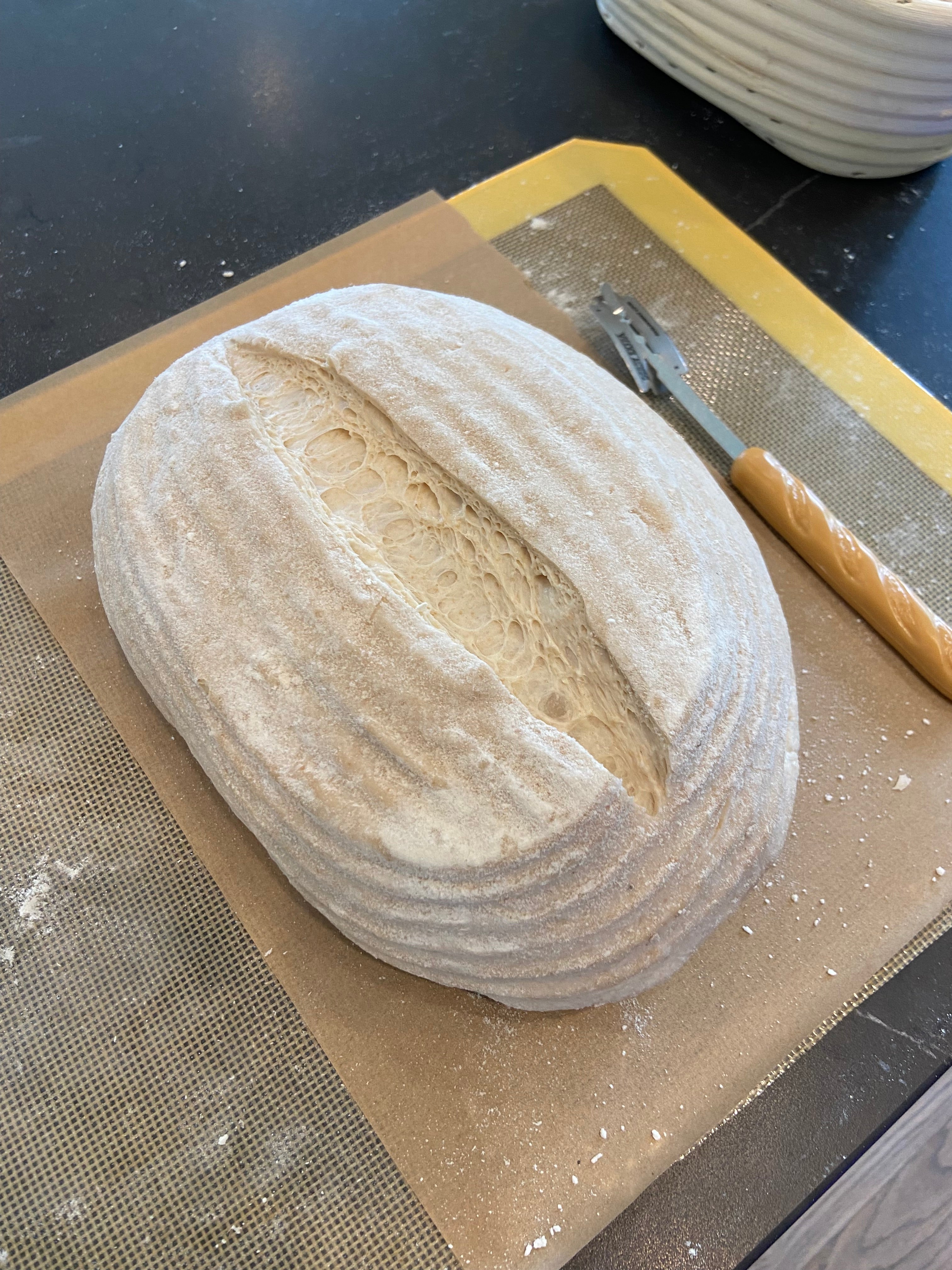 Sourdough Bundle