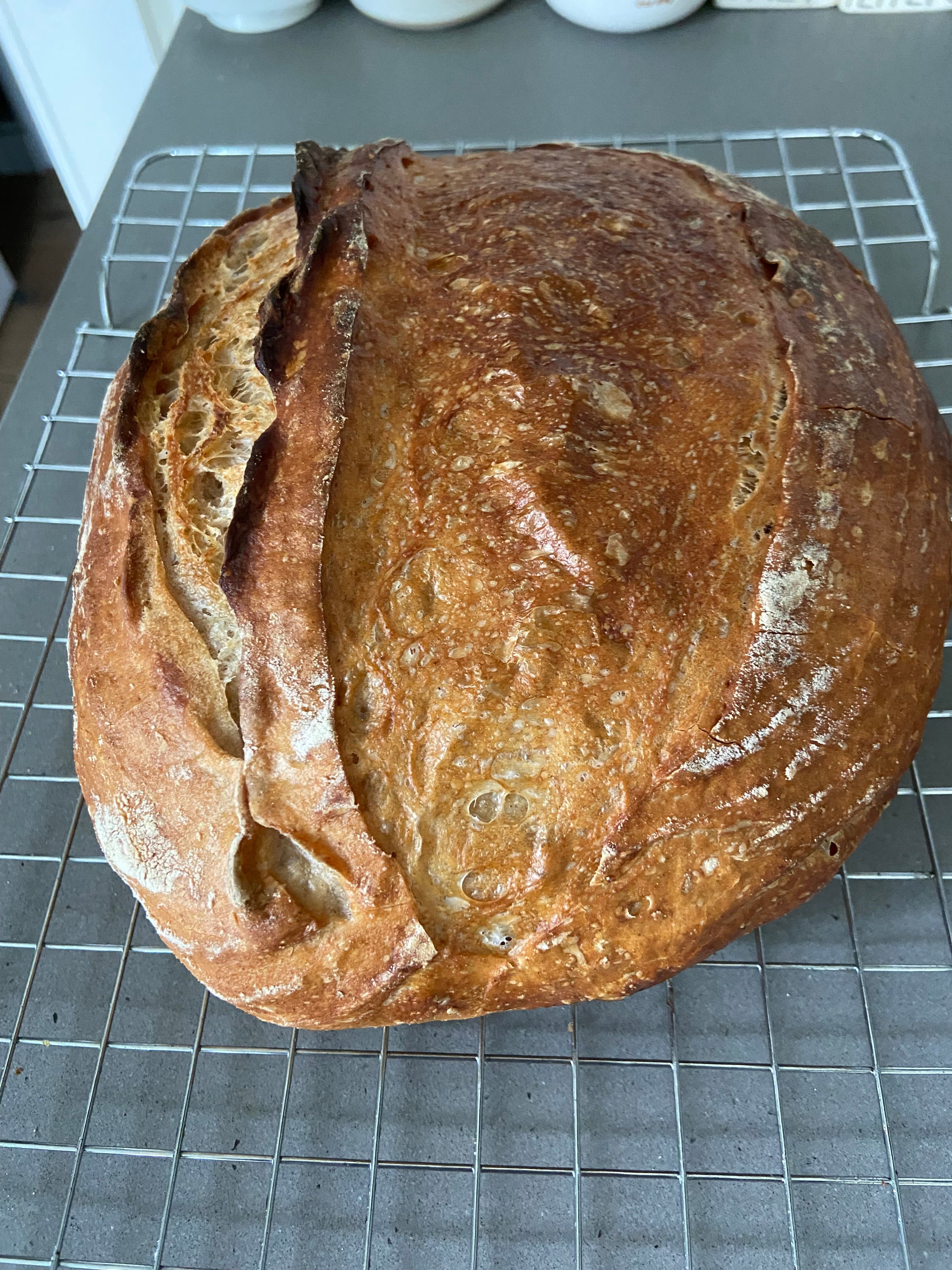 Sourdough Bundle