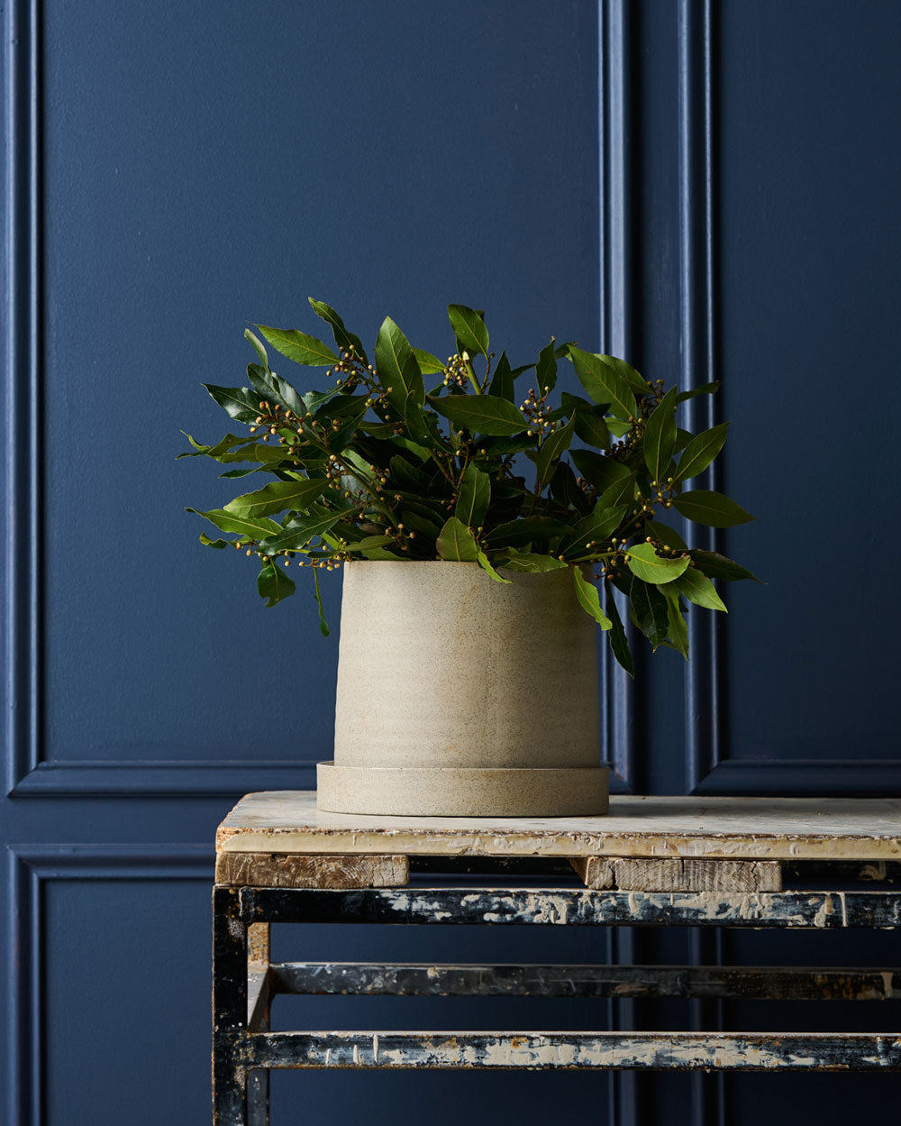 Planter with Tray / Garden To Table