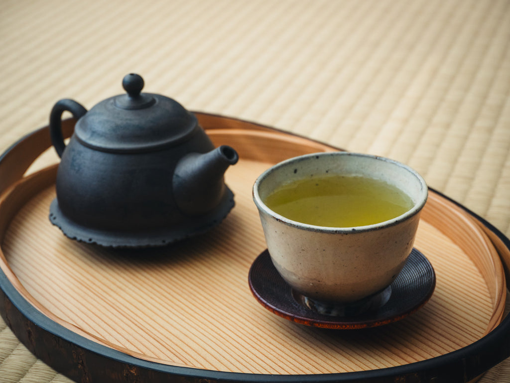 Kettle-shaped Rear-handled Tokoname Teapot - 200ml