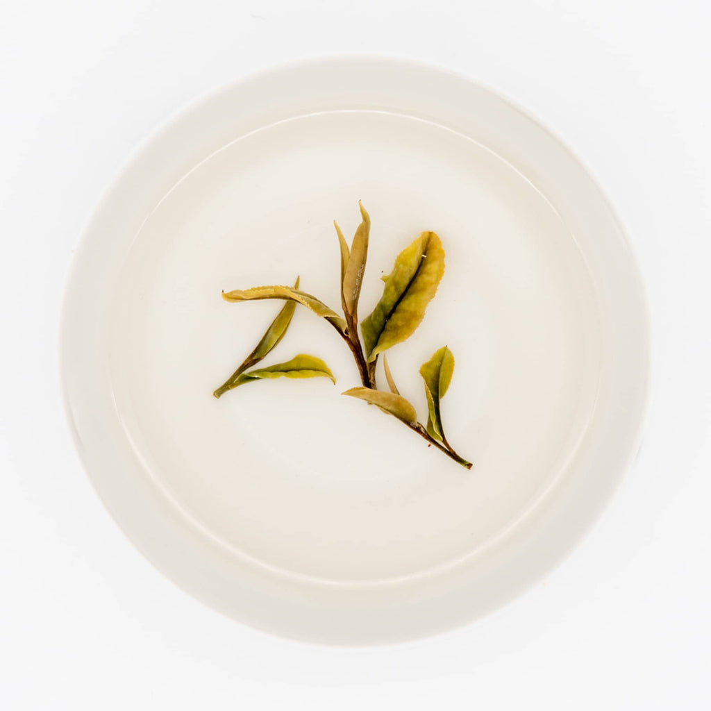 Wazuka Premium Zairai White Tea