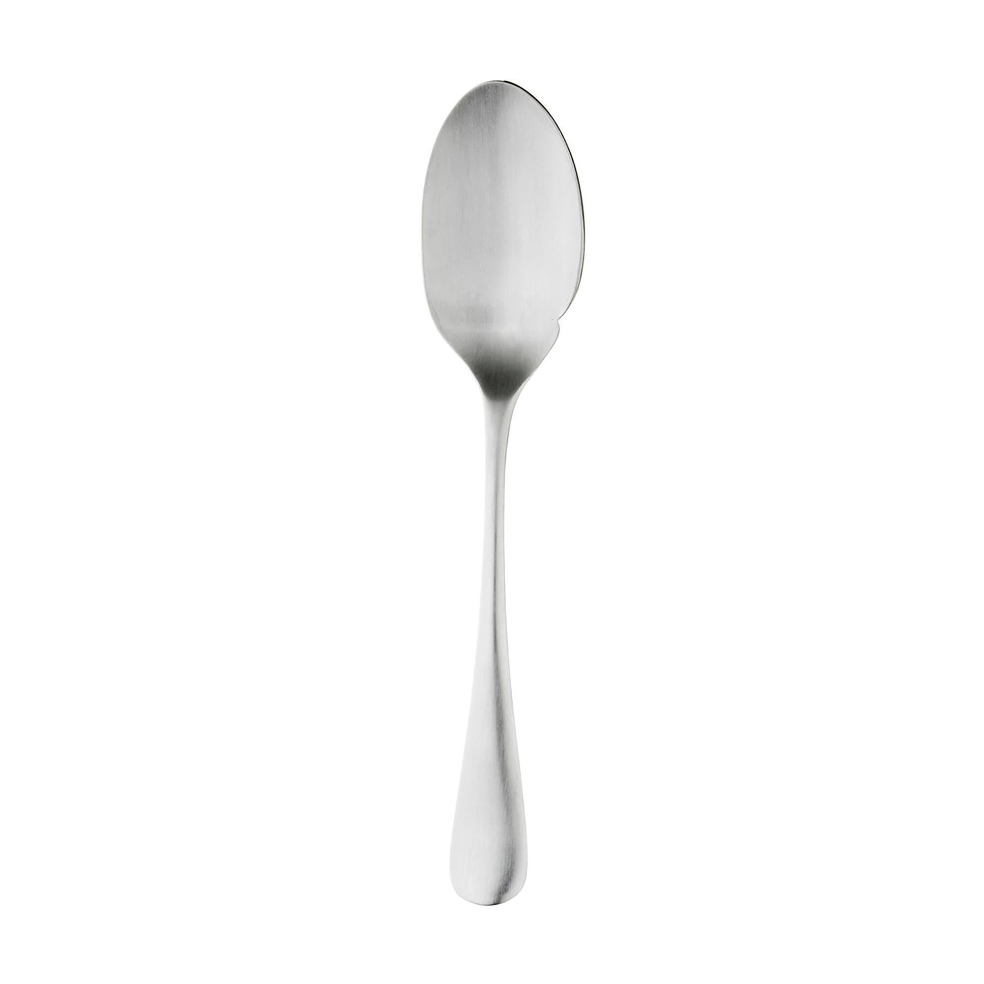 Radford Satin Sauce Spoon