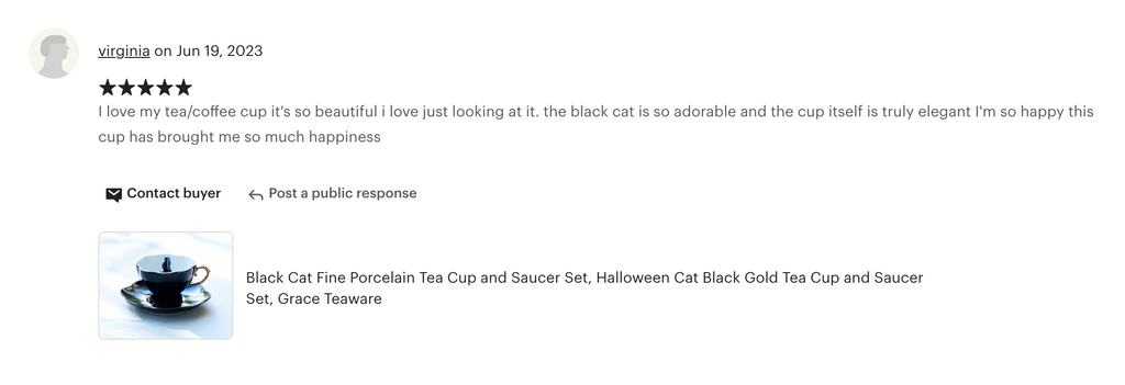 Black Cat Black Gold Tea Cup and Saucer