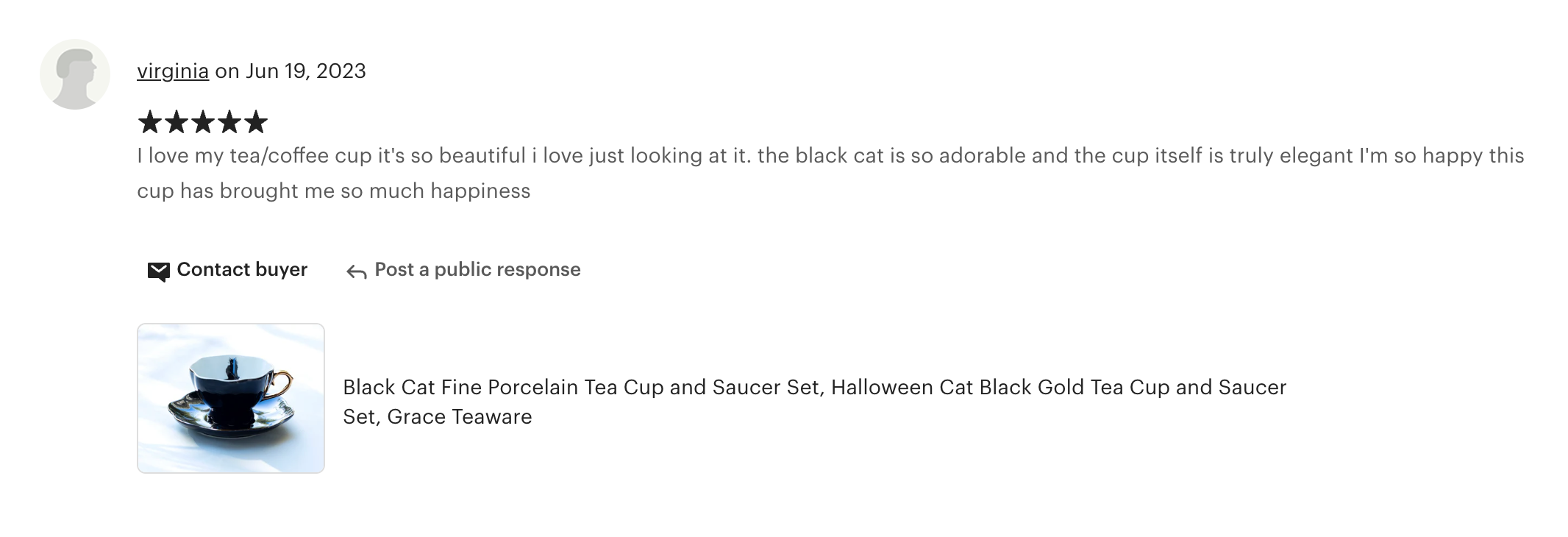 Black Cat Black Gold Tea Cup and Saucer