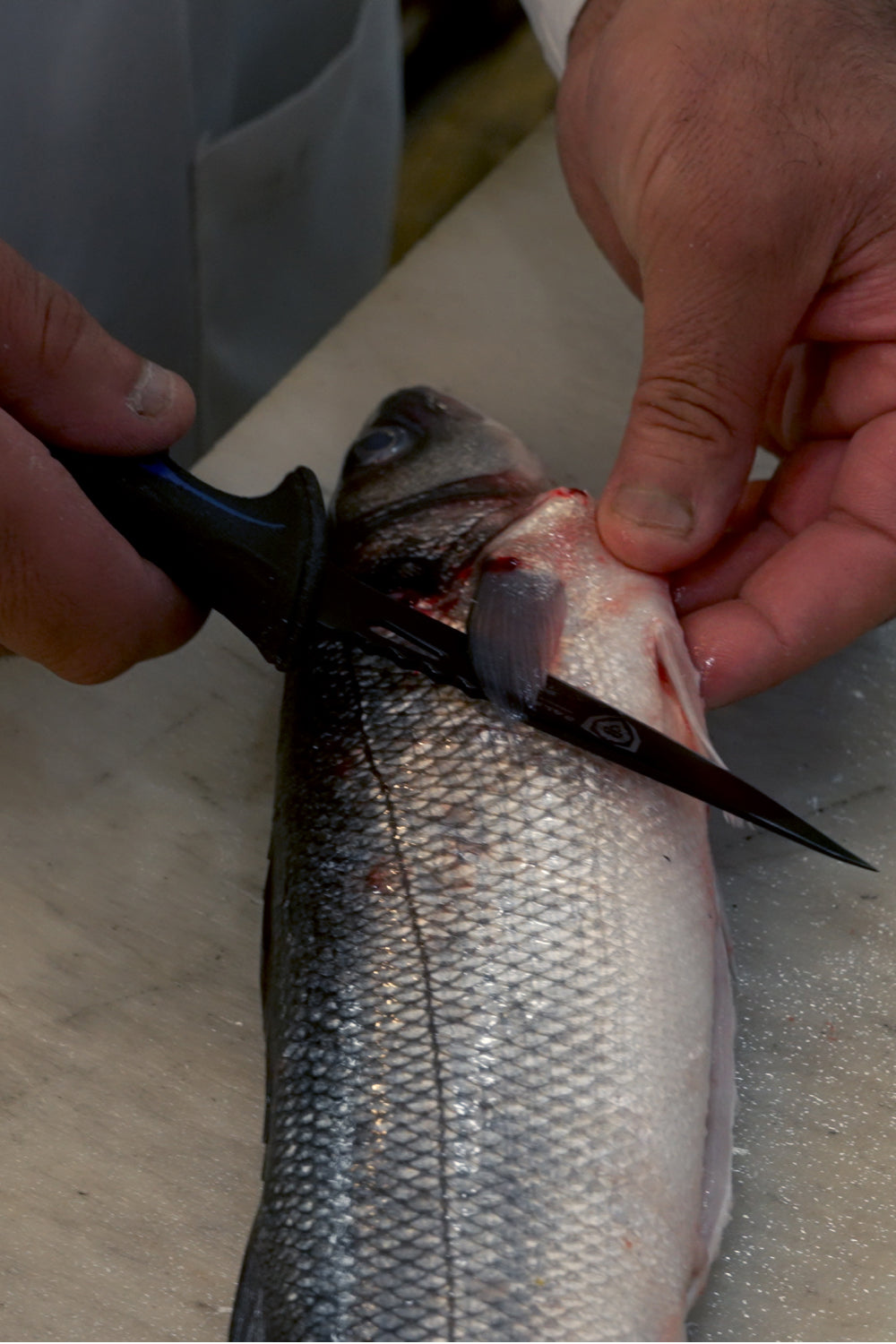 Fillet Knife 4.7" | Night Shark Series | NSF Certified | Dalstrong ©