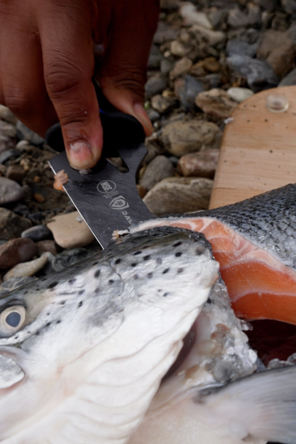 Offset Slicing & Carving Knife 10" | Night Shark Series | NSF Certified | Dalstrong ©