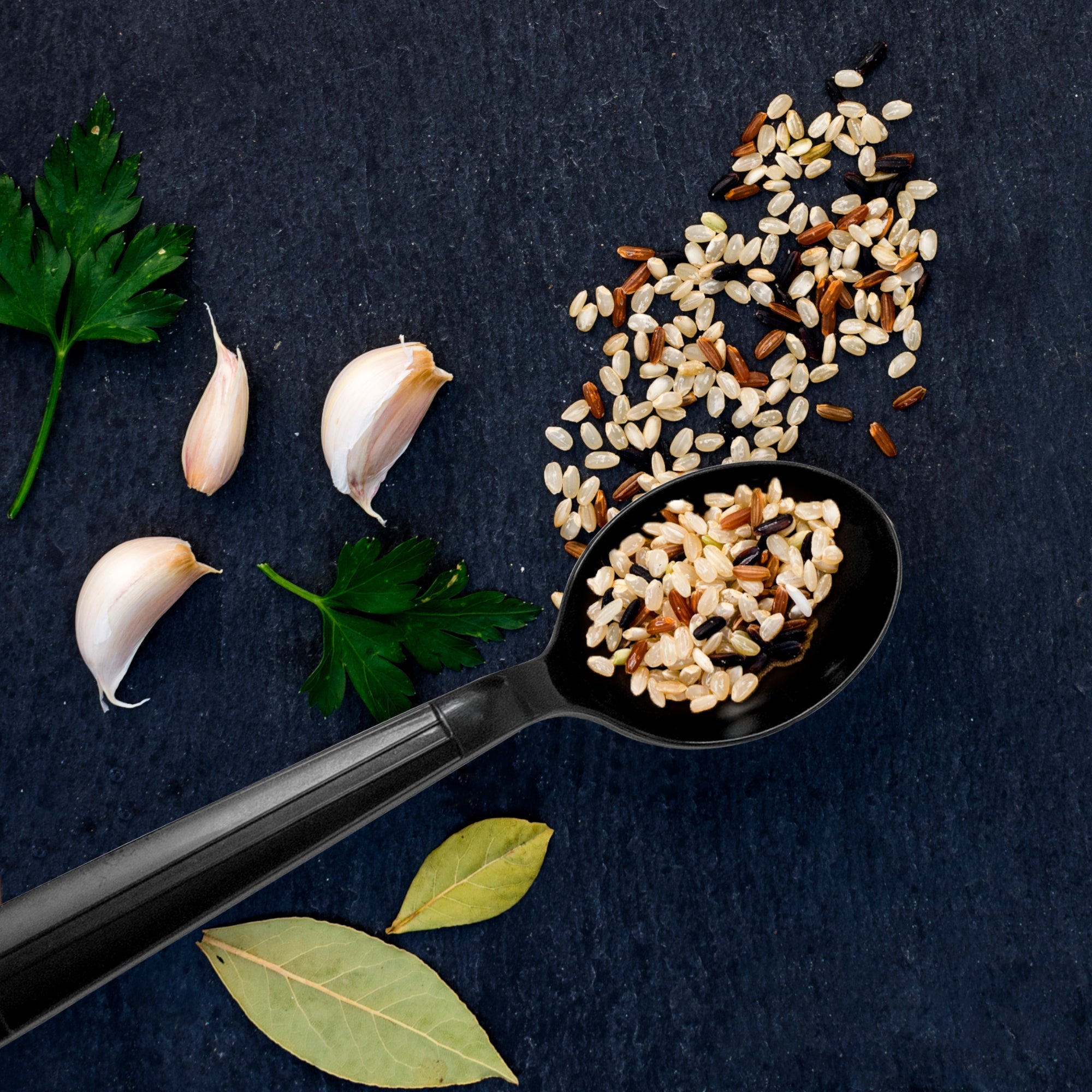 Heavy Weight PP Black Soup Spoon