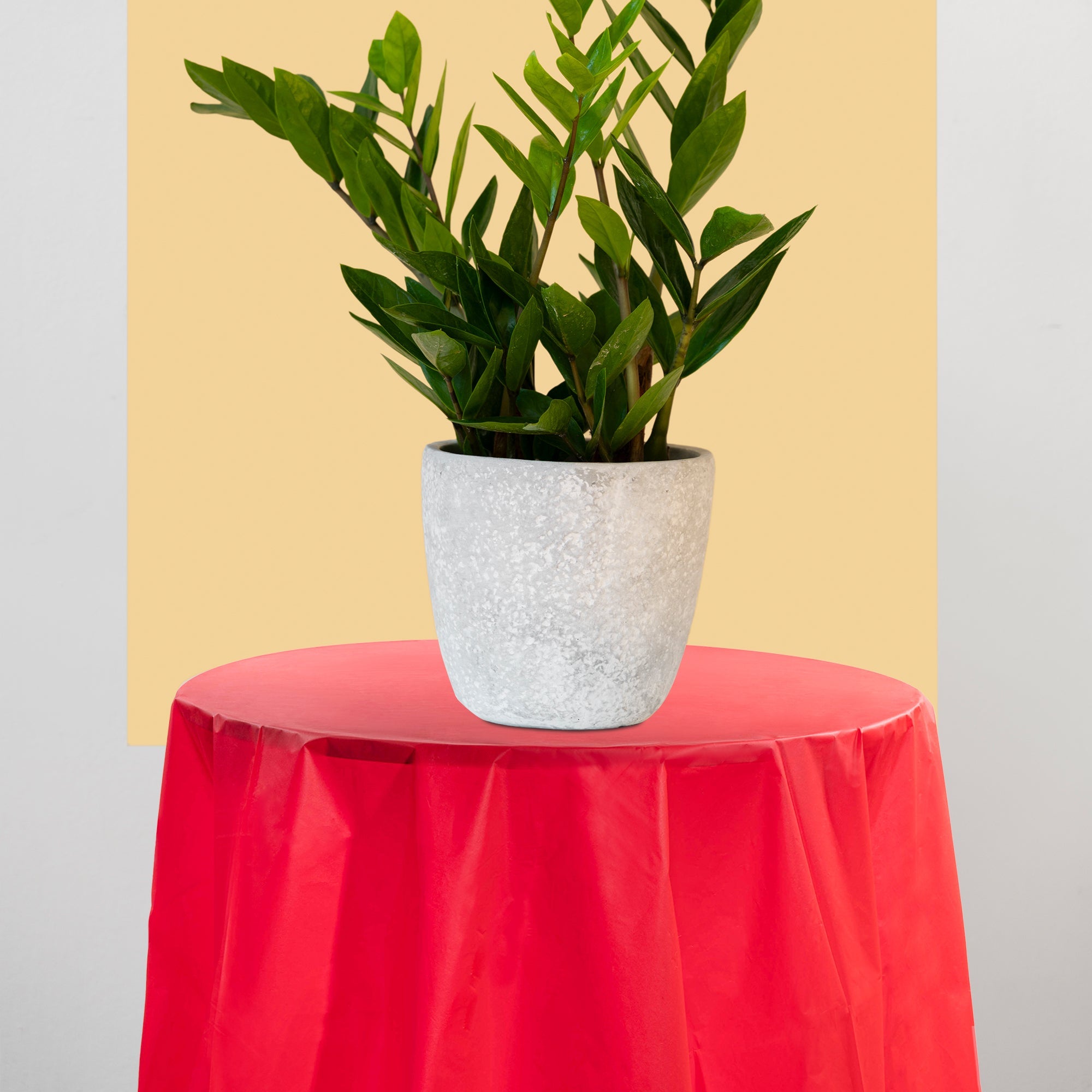 Red Round Disposable Plastic Tablecloths (84")
