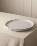 Terra Dinner Plate / Coast