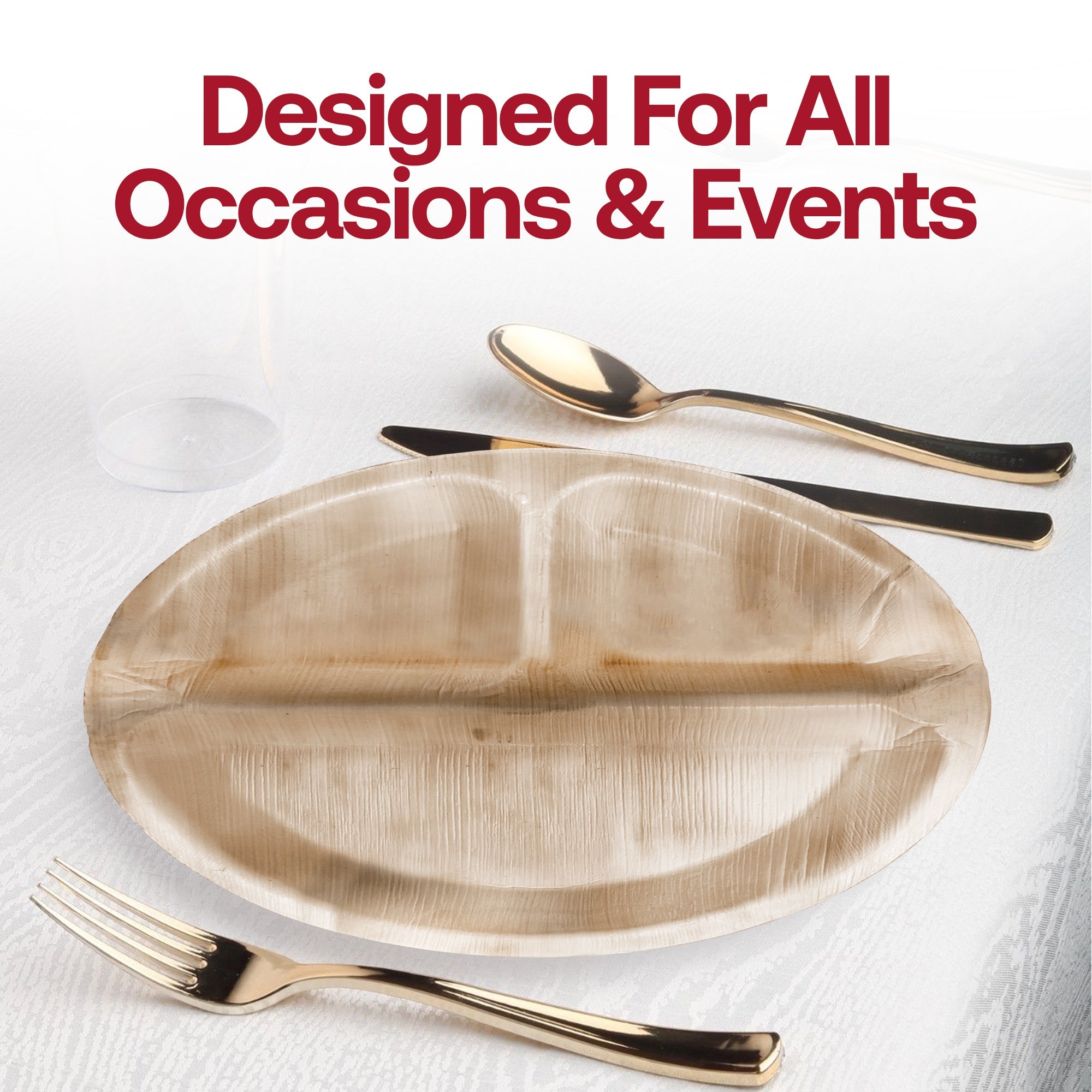 Round Palm Leaf 3-Partition Eco Friendly Disposable Dinner Plates (10")