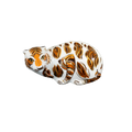 Royal Crown Derby New Year Tiger Paperweight