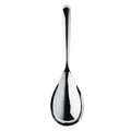 Signature Rice Spoon