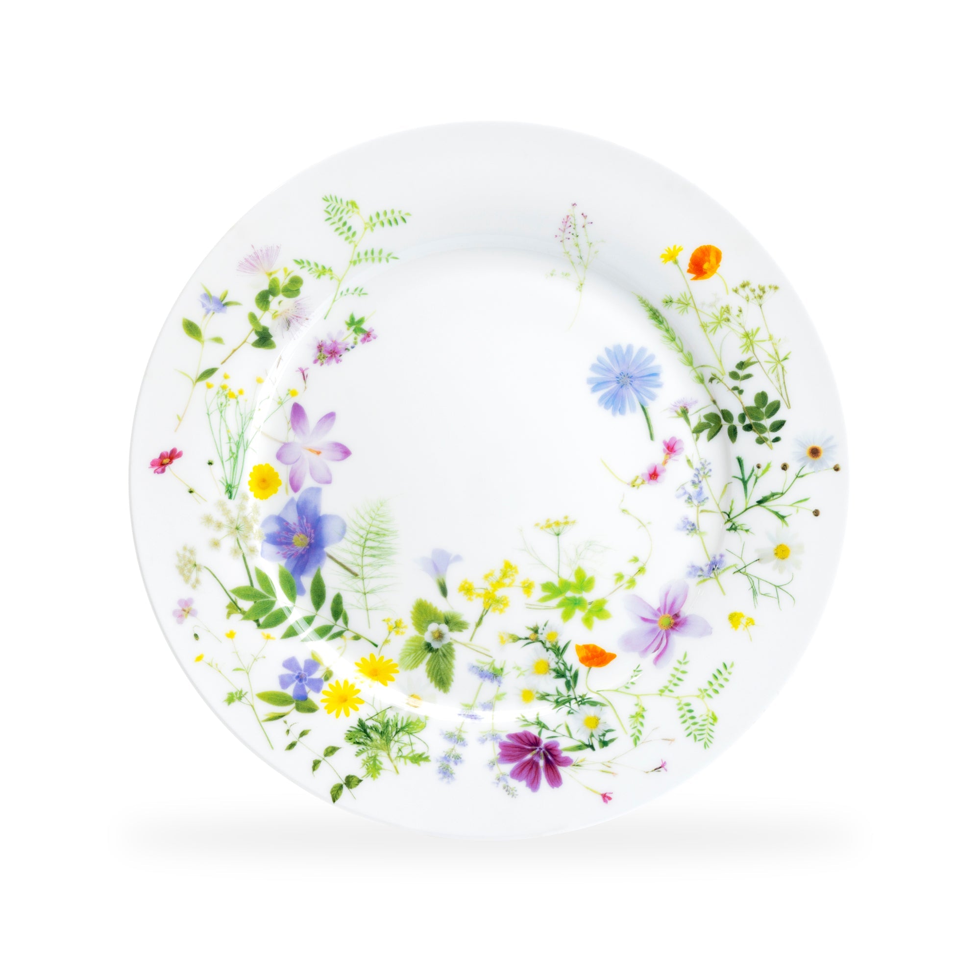 10.5" Summer Meadow Bone China Dinner Plate