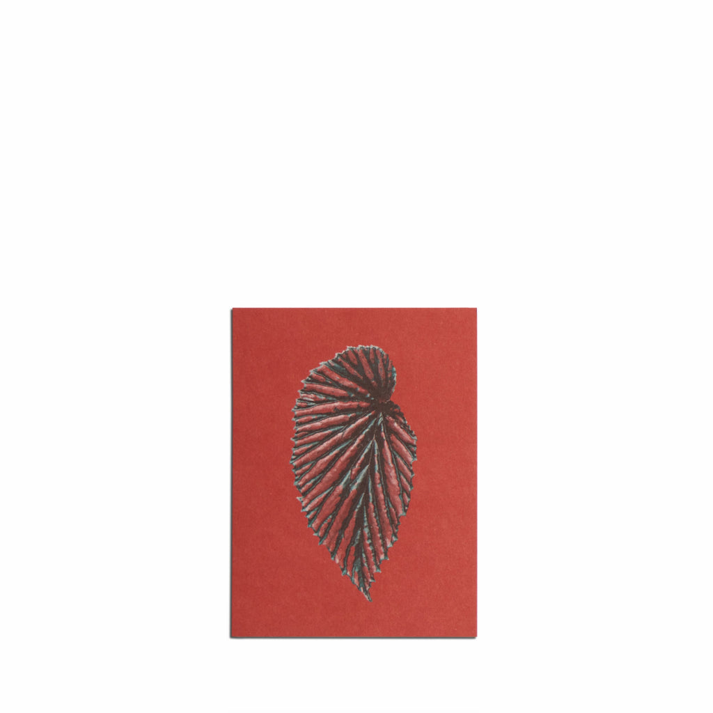 No. 12 Leaves of Friendship Small Print Set