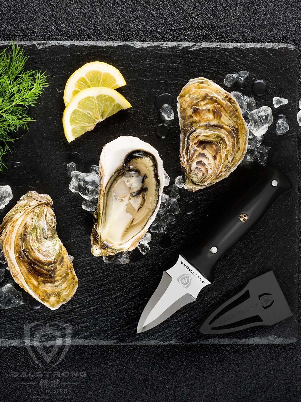 Professional Oyster & Clam Shucking Knife 3.5" | Shogun Series | ELITE | Dalstrong ©