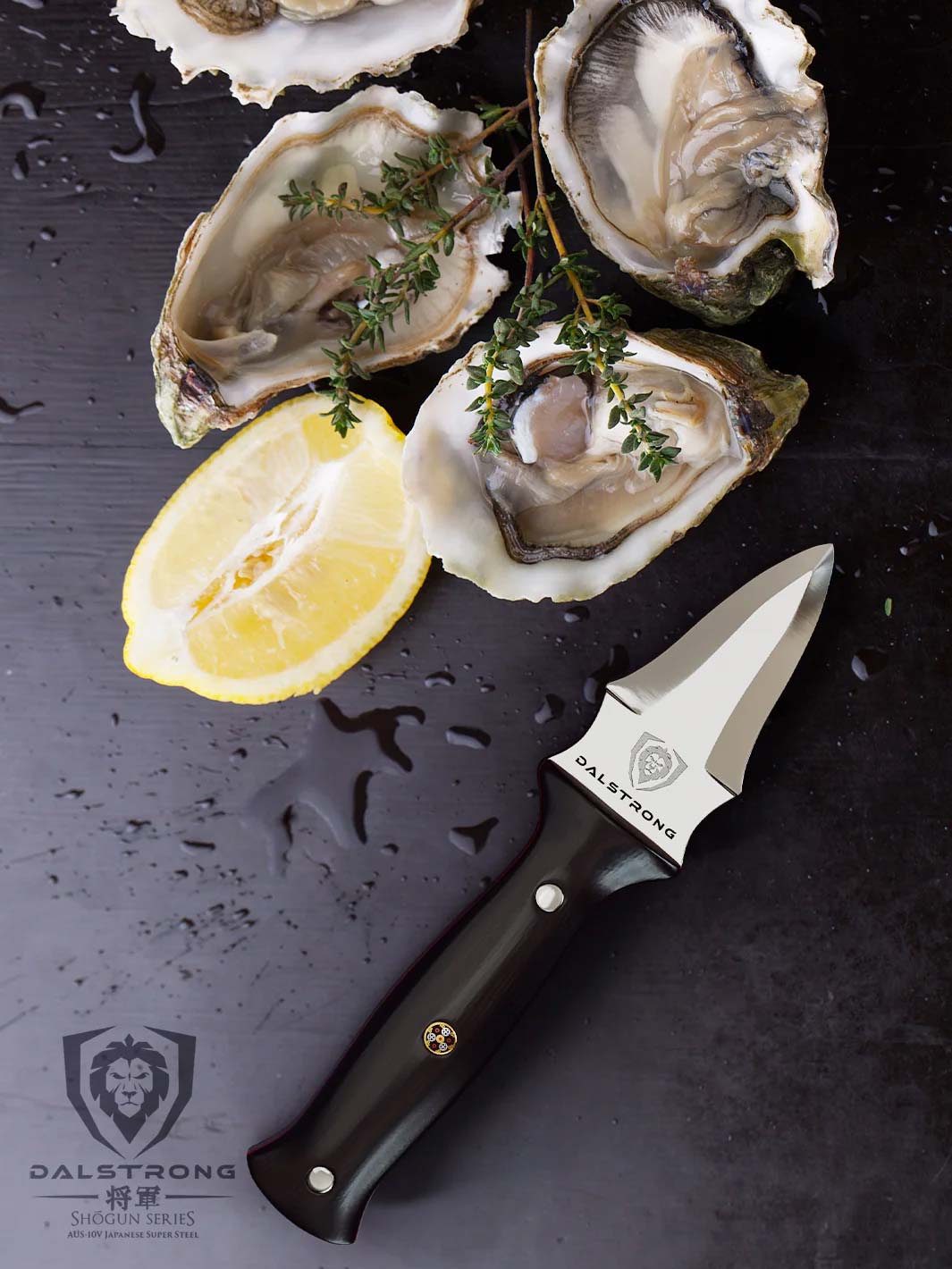 Professional Oyster & Clam Shucking Knife 3.5" | Shogun Series | ELITE | Dalstrong ©