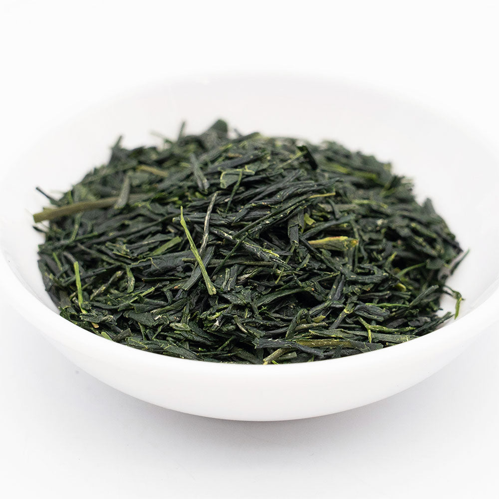 Shirakawa Saemidori Shincha