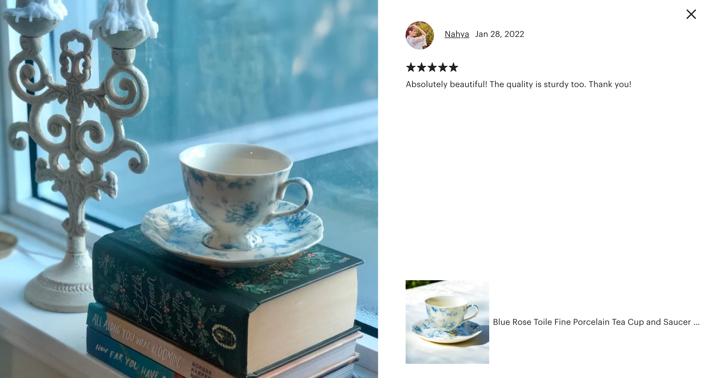 Blue Rose Toile Fine Porcelain Tea Cup and Saucer