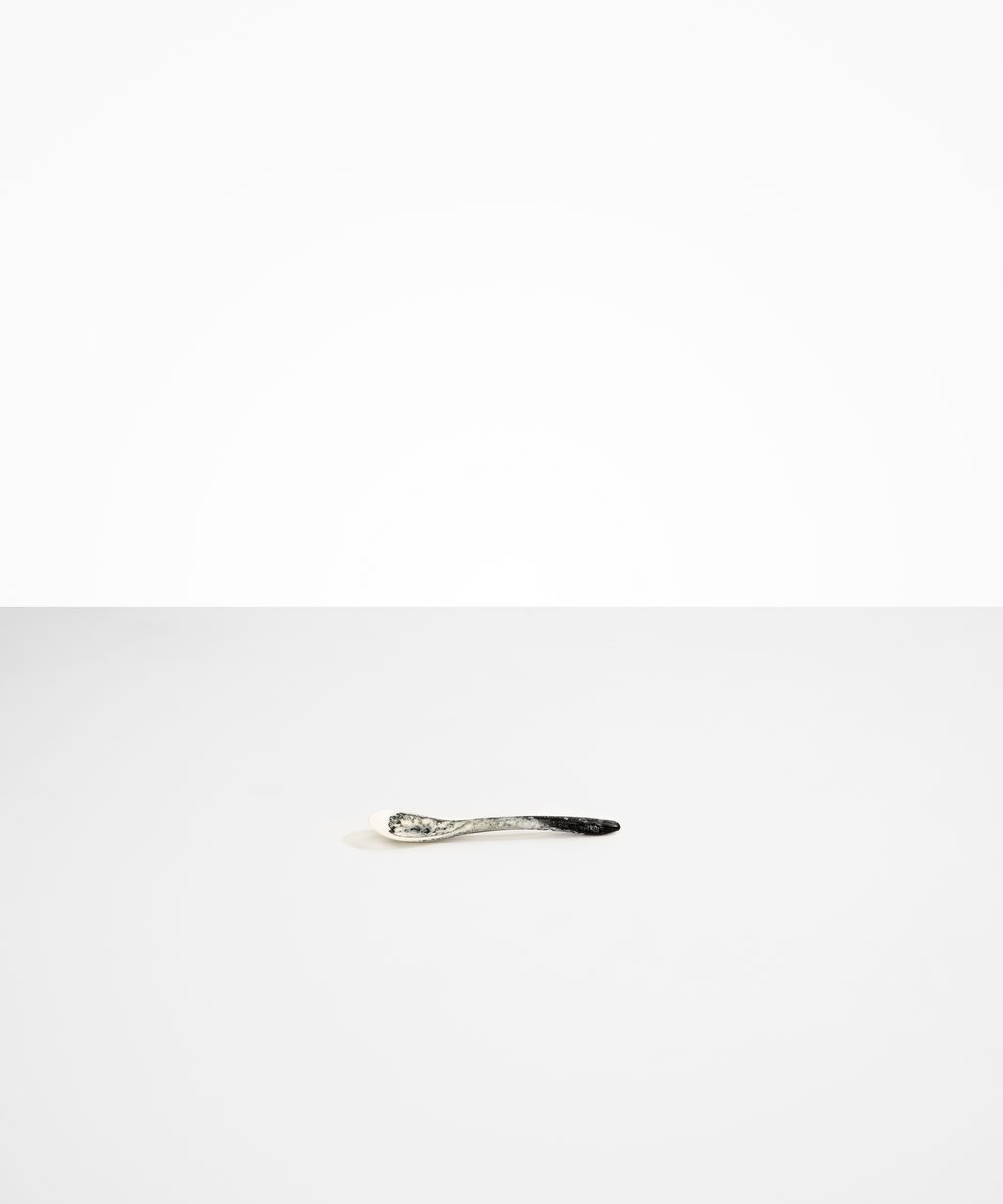 Shell Spoon