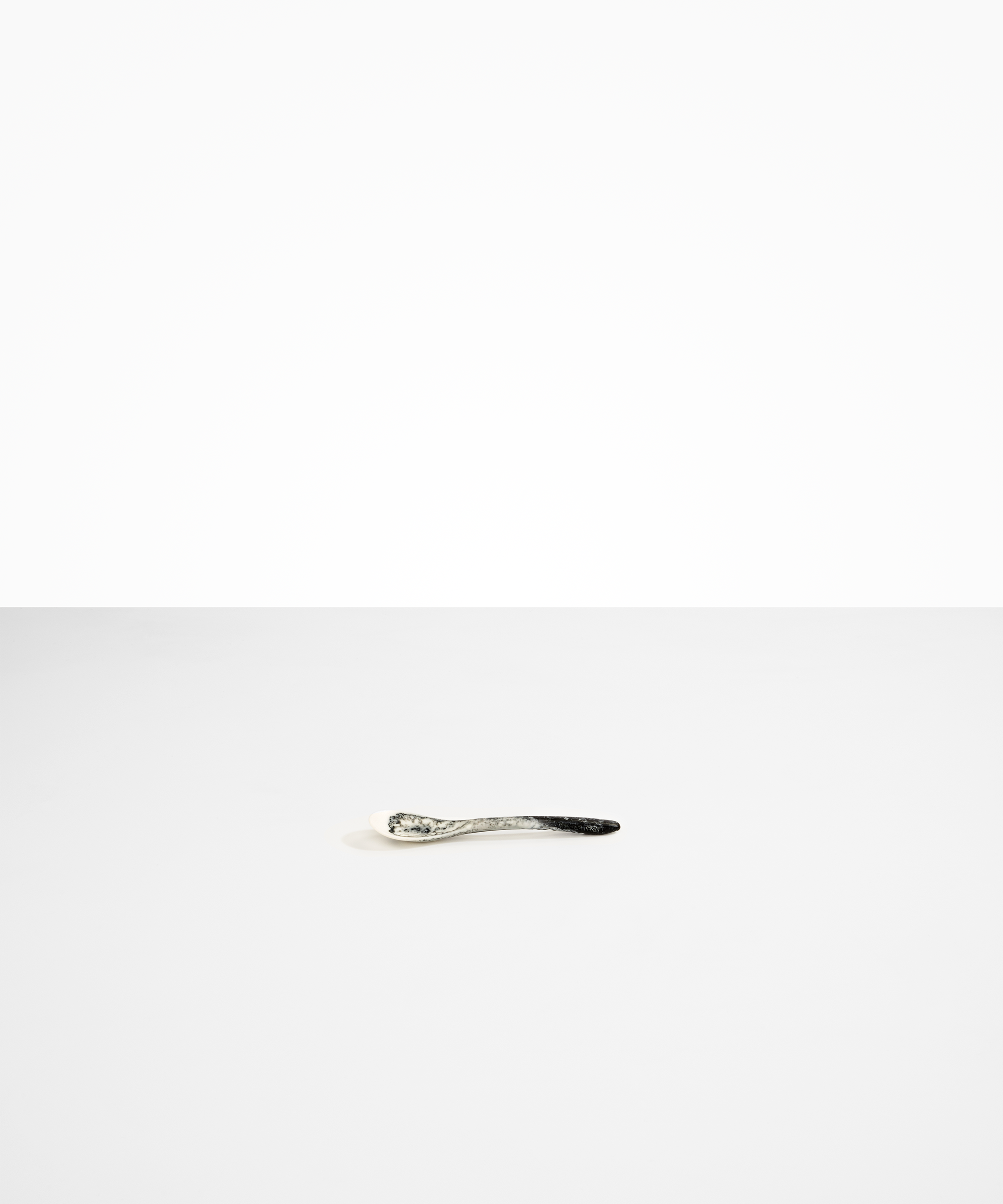 Shell Spoon
