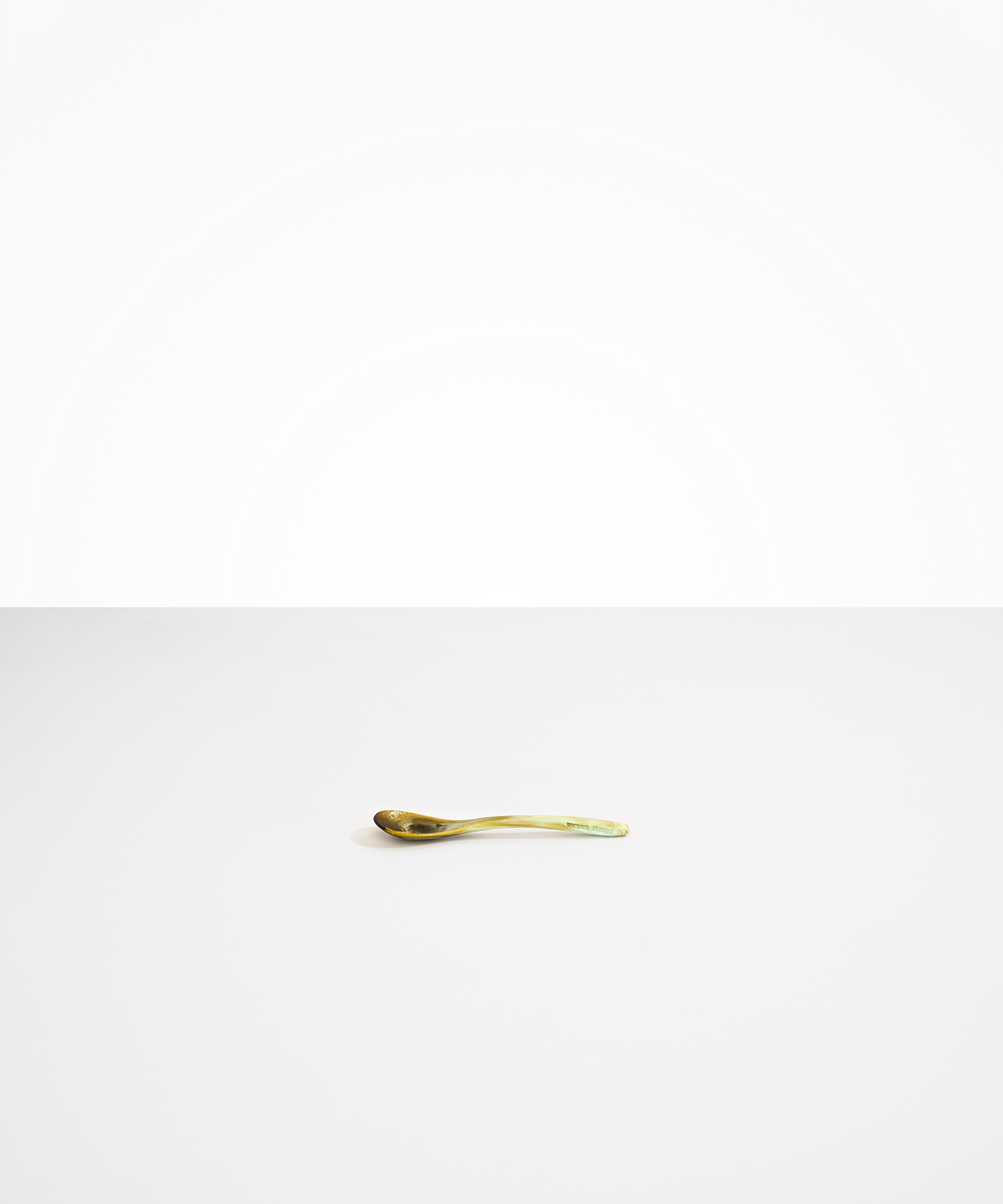 Shell Spoon