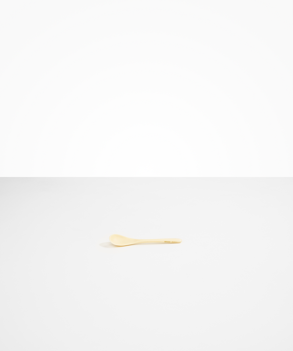 Shell Spoon
