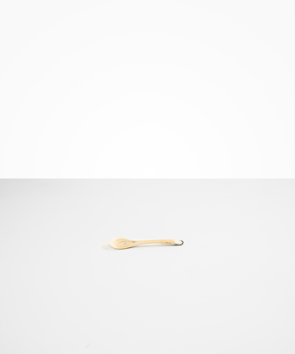 Shell Spoon