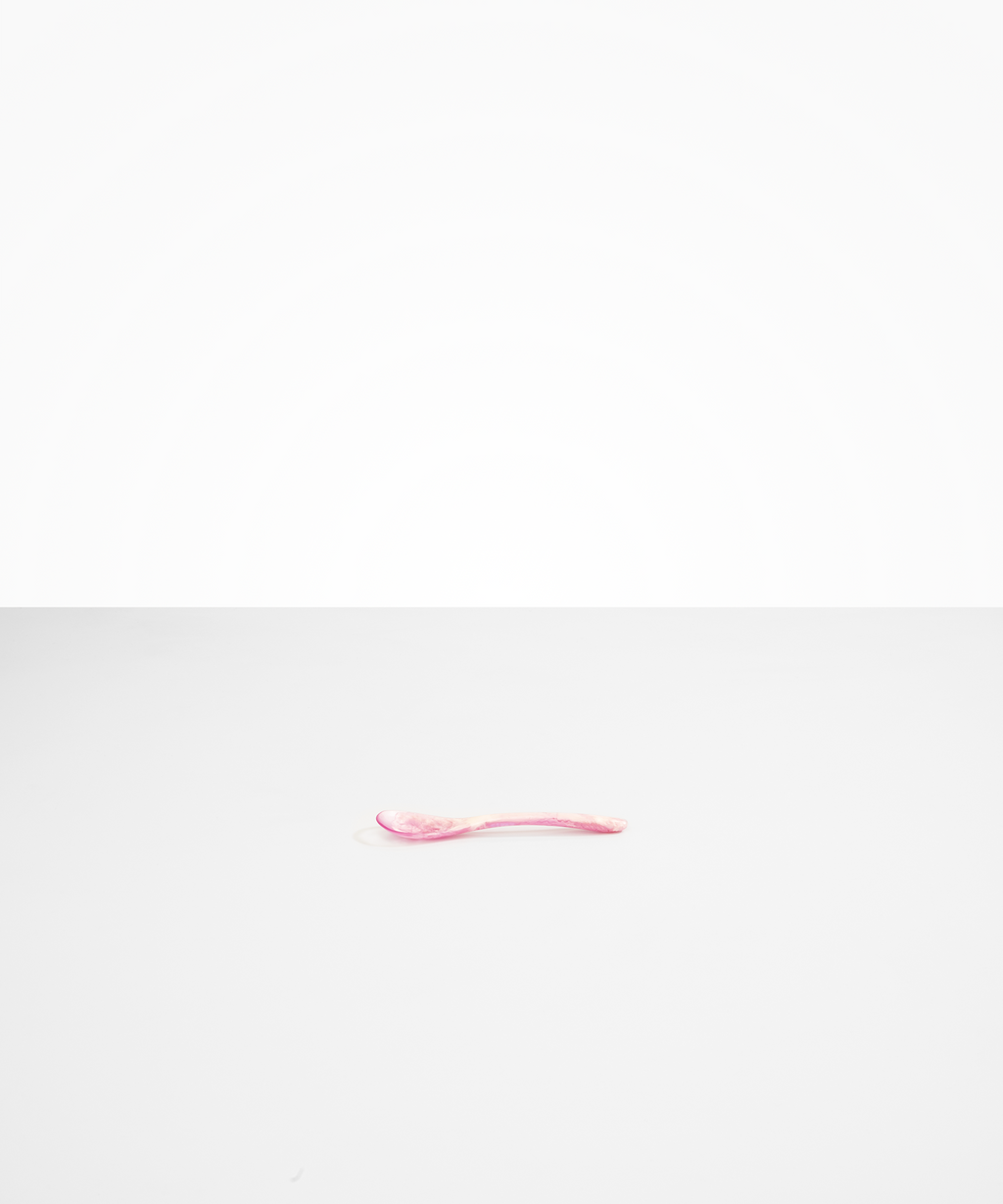 Shell Spoon