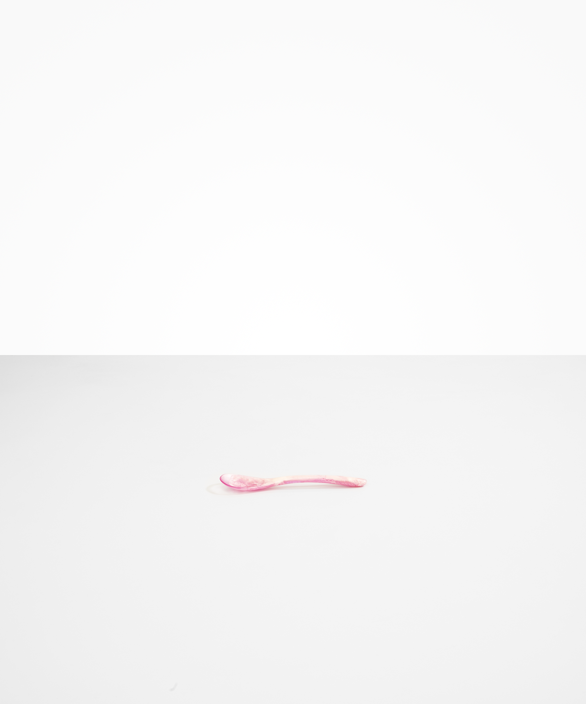 Shell Spoon