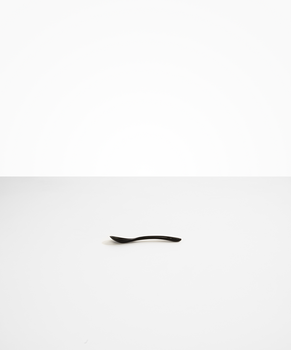 Shell Spoon