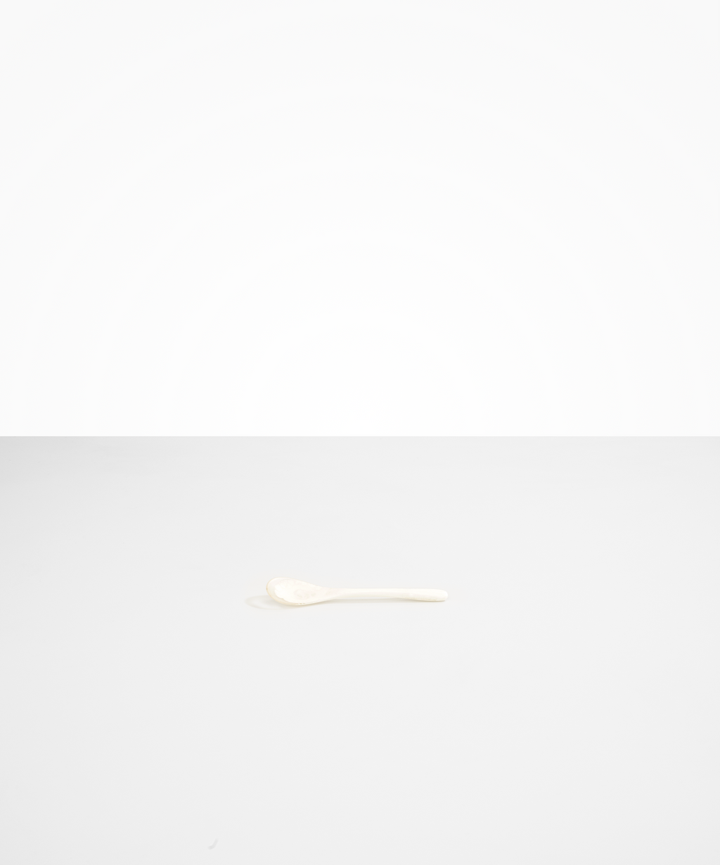 Shell Spoon