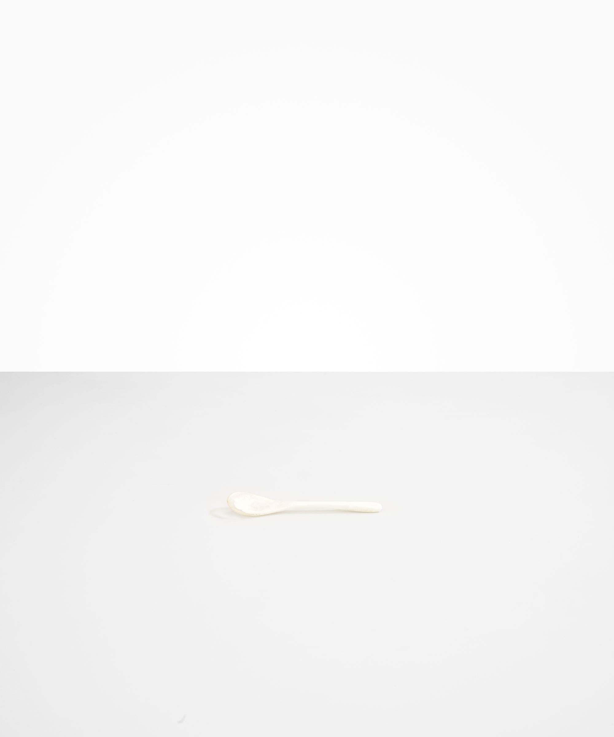 Shell Spoon